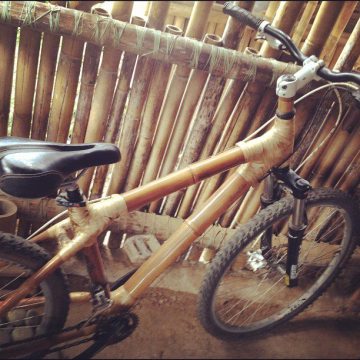 bamboo bike
