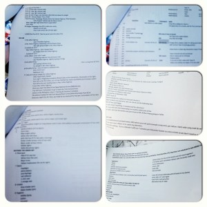 Here's my BDM 160K Manual for my Crew.  It includes a directory of the bag within the bag within the bag inside my car